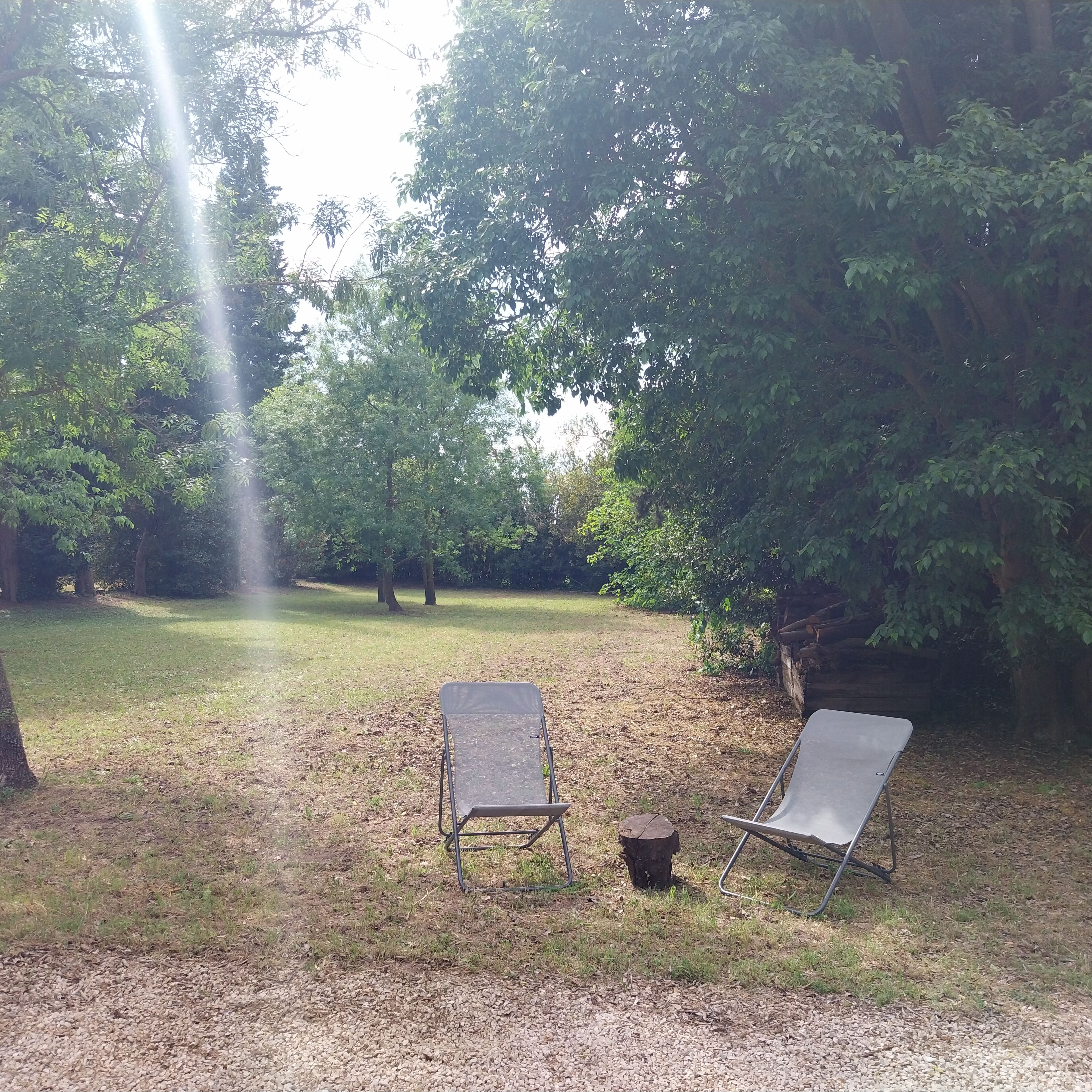Dues cadires de metall en una zona verda amb arbres i una tanca de fusta al fons.