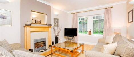 TV, fireplace, DVD player