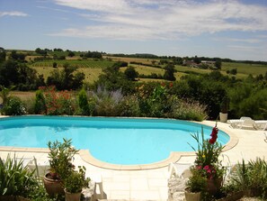 view from the pool overlooking the rolling hills planted with vines