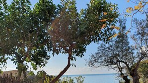 A stone pathway leading to a body of water, surrounded by greenery and trees. - Holiday Home Sciacca (San Giorgio)
