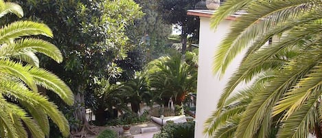 A garden with a stone staircase leading to a white building, surrounded by lush greenery and palm trees.