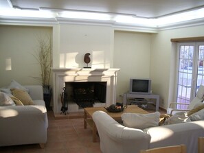 Smart TV, fireplace, video games, DVD player