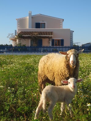 Overnatningsstedets område