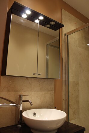 Shower, hair dryer, towels