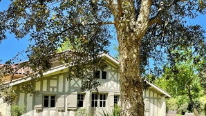 Une maison à deux étages, dotée d’un toit à pignon, entourée d’une pelouse bien entretenue et d’un grand arbre.