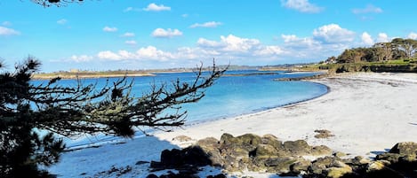 Nära stranden