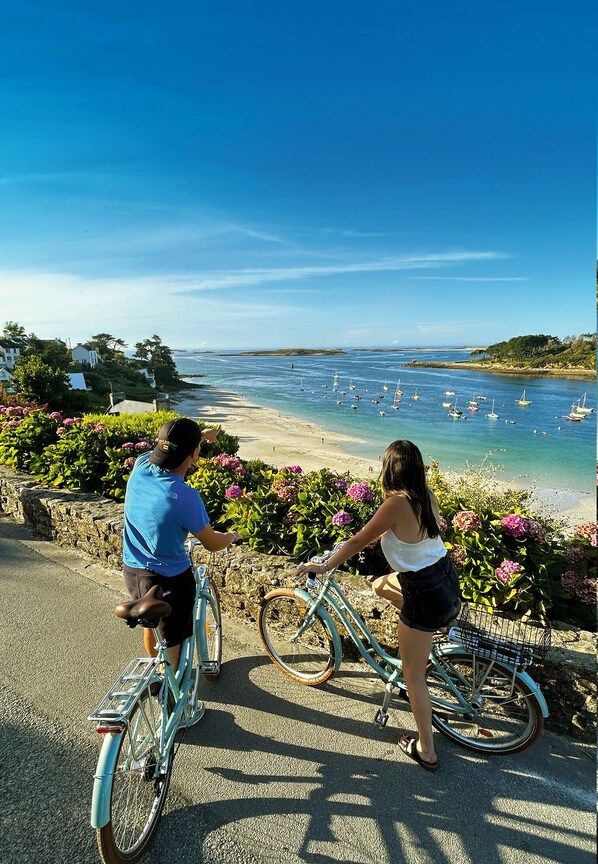 Beach nearby - Wooden house overlooking the sea at 180 °. (Landéda)