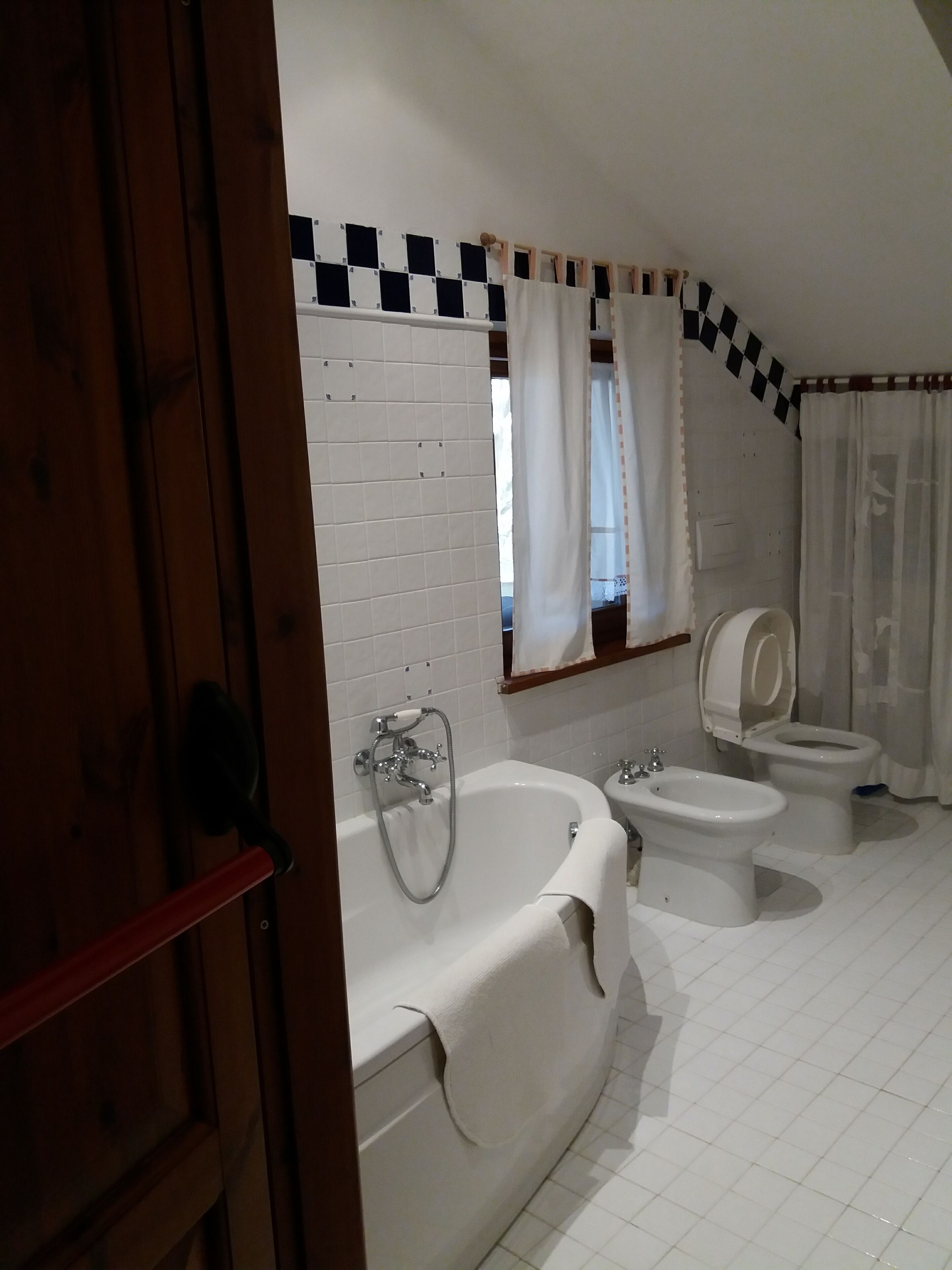 Combined shower/bathtub, bidet, towels