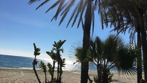 Une plage bordée de palmiers, avec l’océan en toile de fond.