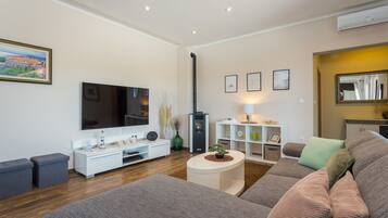 Smart TV, chimenea, libros y estéreo