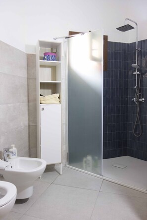 Regadera, secadora de cabello, bidet, toallas