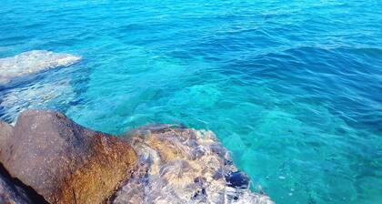 Grande maison individuelle calme dans le centre historique