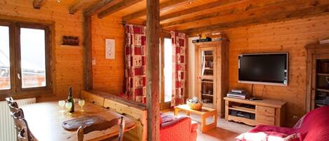 TV, DVD player, books, video library