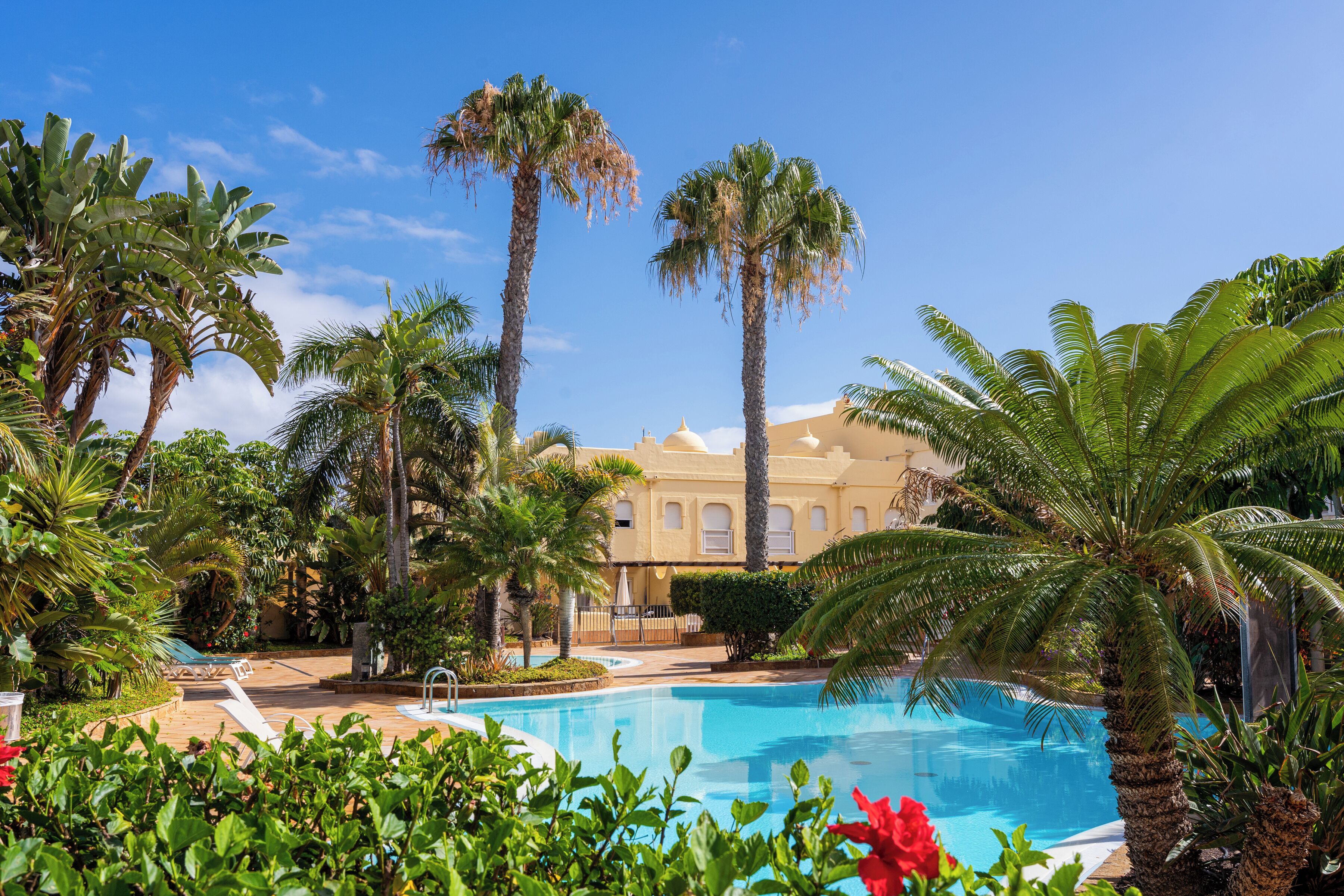 A pool surrounded by palm trees and a building with a yellow facade.