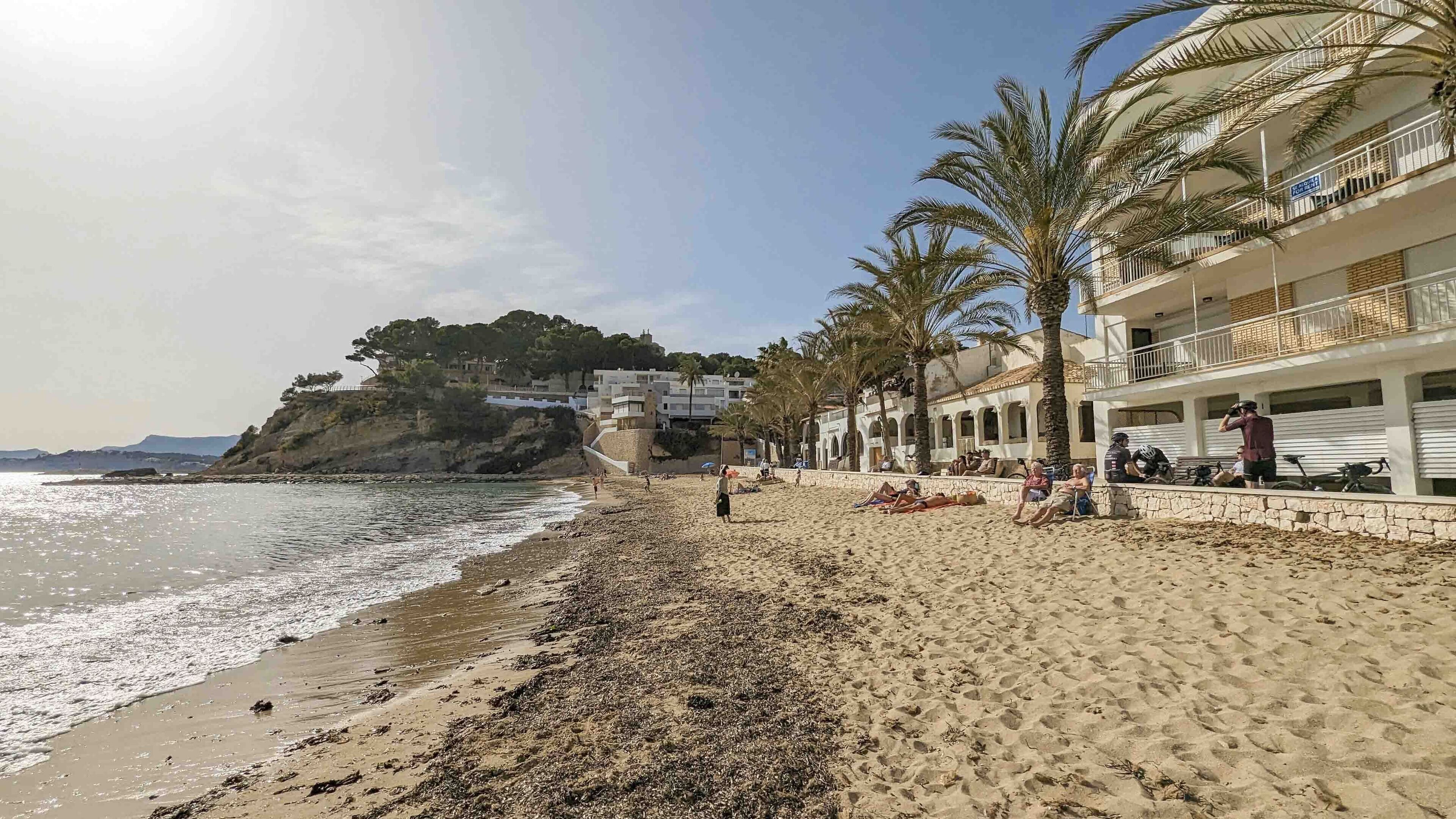 A beach with a sandy shore, palm trees, and a building with balconies overlooking the sea.