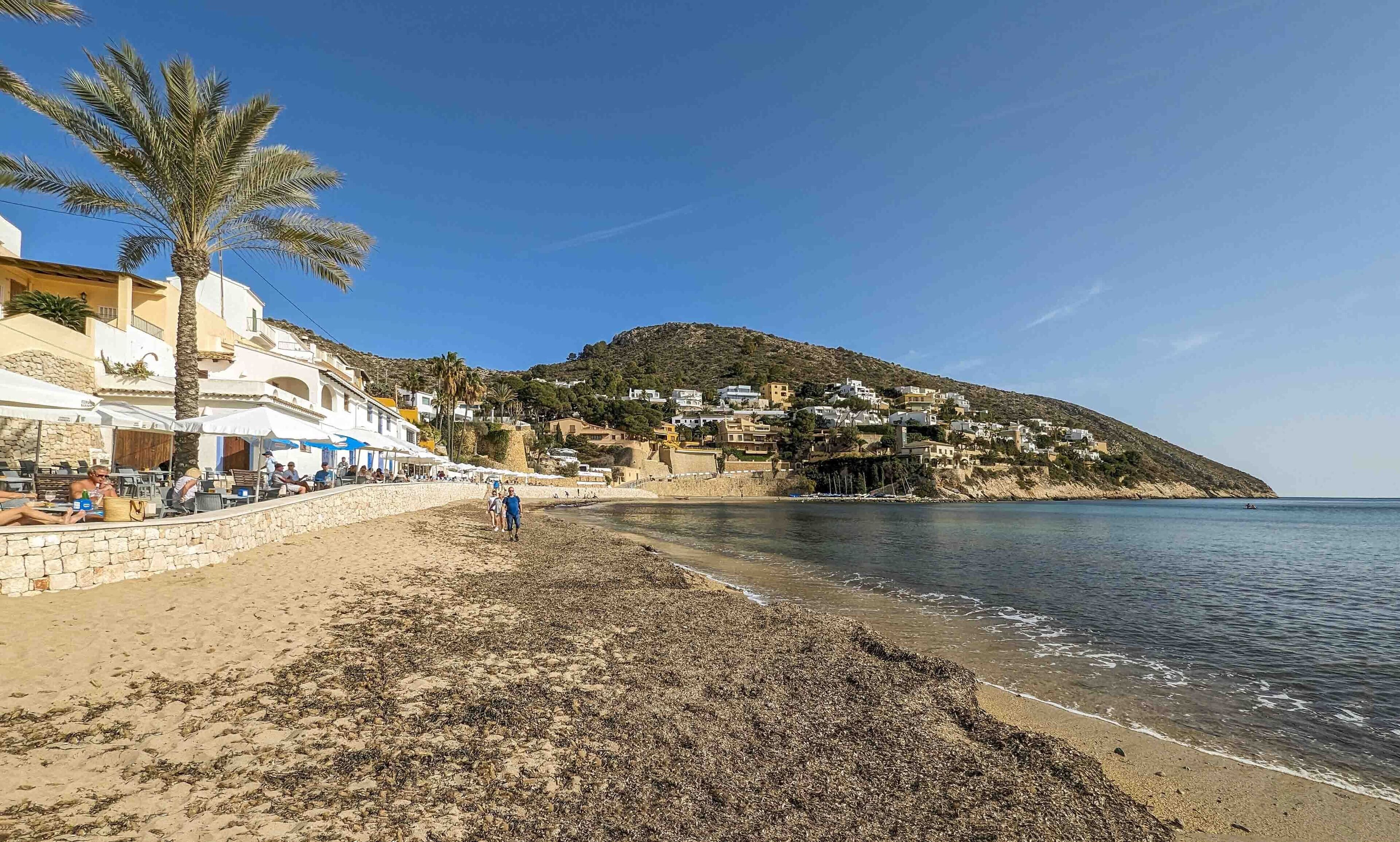 A beach with a row of white buildings, some with blue awnings, and a palm tree.