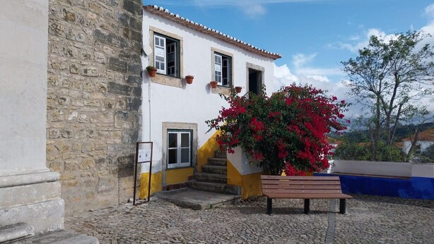 Un bâtiment doté d’une façade en pierre, d’une couleur extérieure blanche et jaune, et d’une plante à fleurs rouges devant l’entrée.