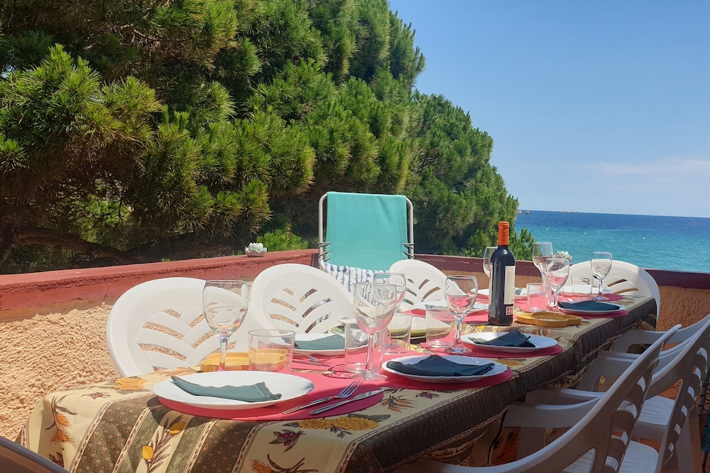 Apartment with garden at 11 meters from the sand beach of la Fosca.