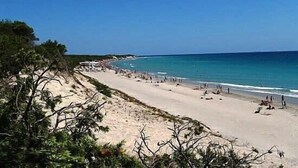 Ein Strand mit weitem Sandstreifen, einigen Bäumen und dem Meer.