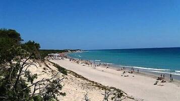 Chaises longues, serviettes de plage