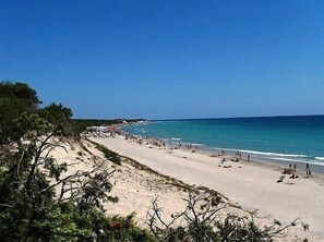 Chaises longues, serviettes de plage