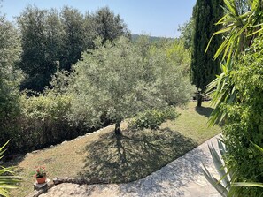 A garden with a variety of trees and shrubs, a stone pathway, and a potted plant with red flowers.