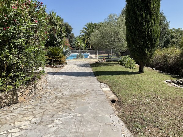A stone pathway leading to a pool area surrounded by lush greenery and a tall tree.