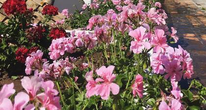 17th century convent offering family holidays with pool, tennis & amazing views