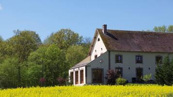 A white building with a sloped roof, surrounded by a field of yellow flowers.