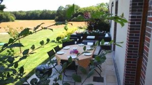 An outdoor dining area with a table set for four, surrounded by chairs, with a view of a grassy field and trees in the background.