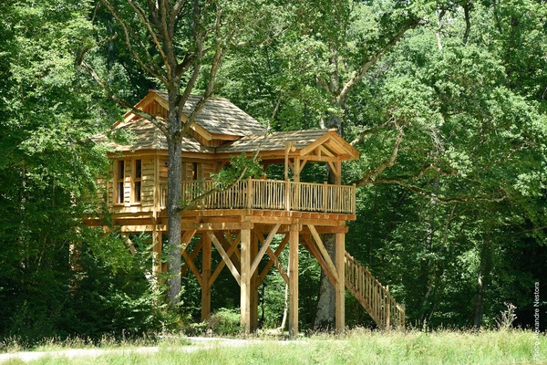 notre cabane dans les arbres