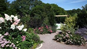 A garden pathway surrounded by various flowering plants and trees.