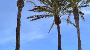 Plage, serviettes de plage