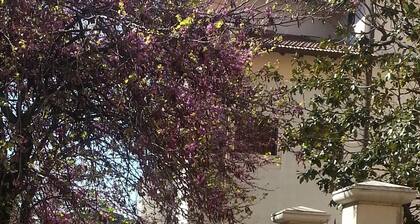 Janiculum near Trastevere Vatican nice studio well equipped with large terrace