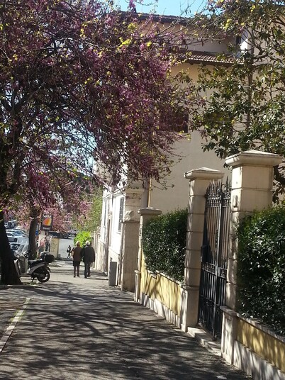 Janiculum near Trastevere Vatican nice studio well equipped with large terrace