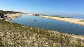 A coastal landscape with a calm body of water, sandy beach, and grassy dunes.