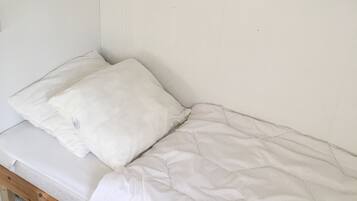 2 slaapkamers, een strijkplank/strijkijzer, gratis wifi, beddengoed