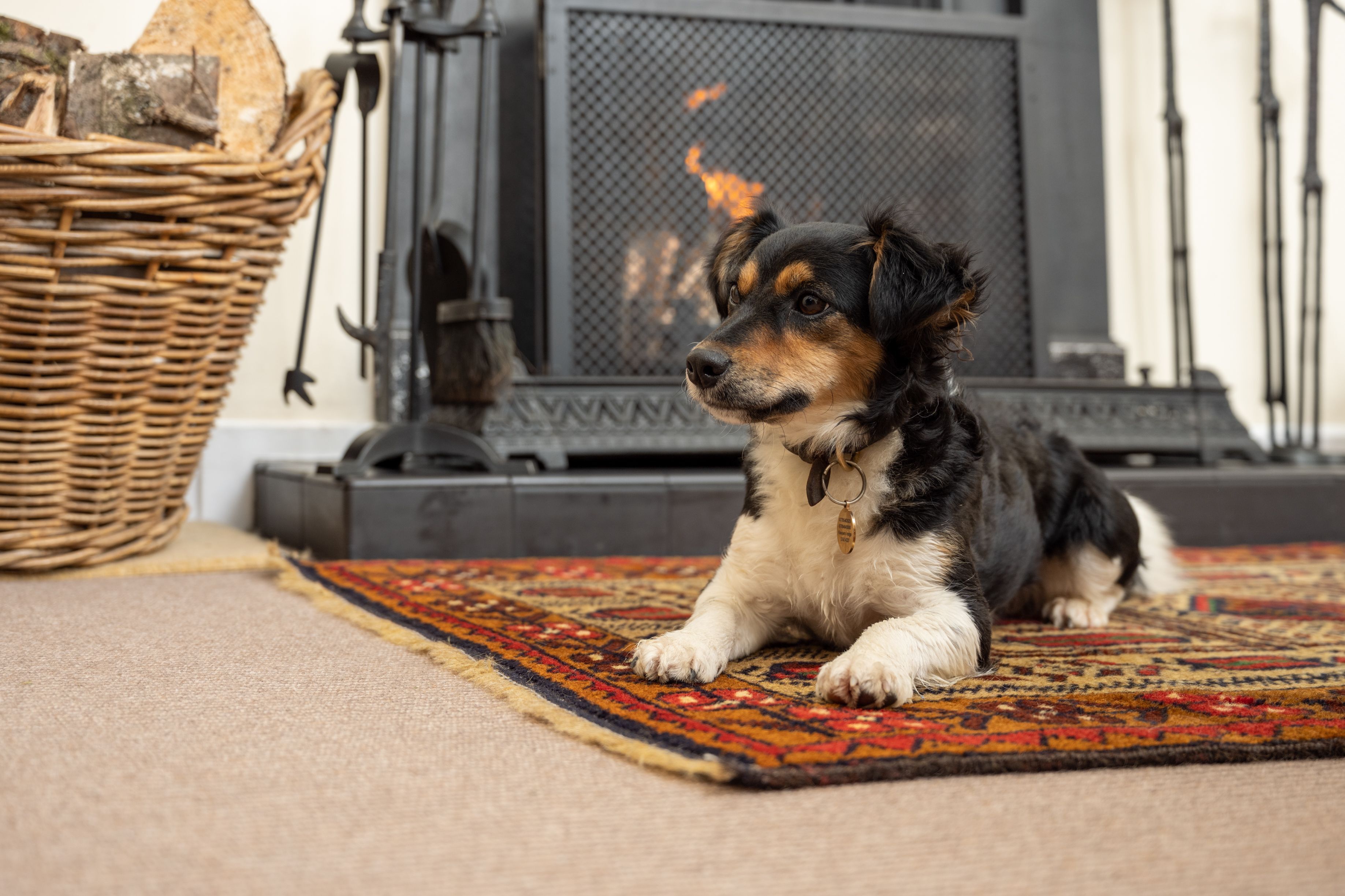 A dog lying on a patterned rug in front of a fireplace.