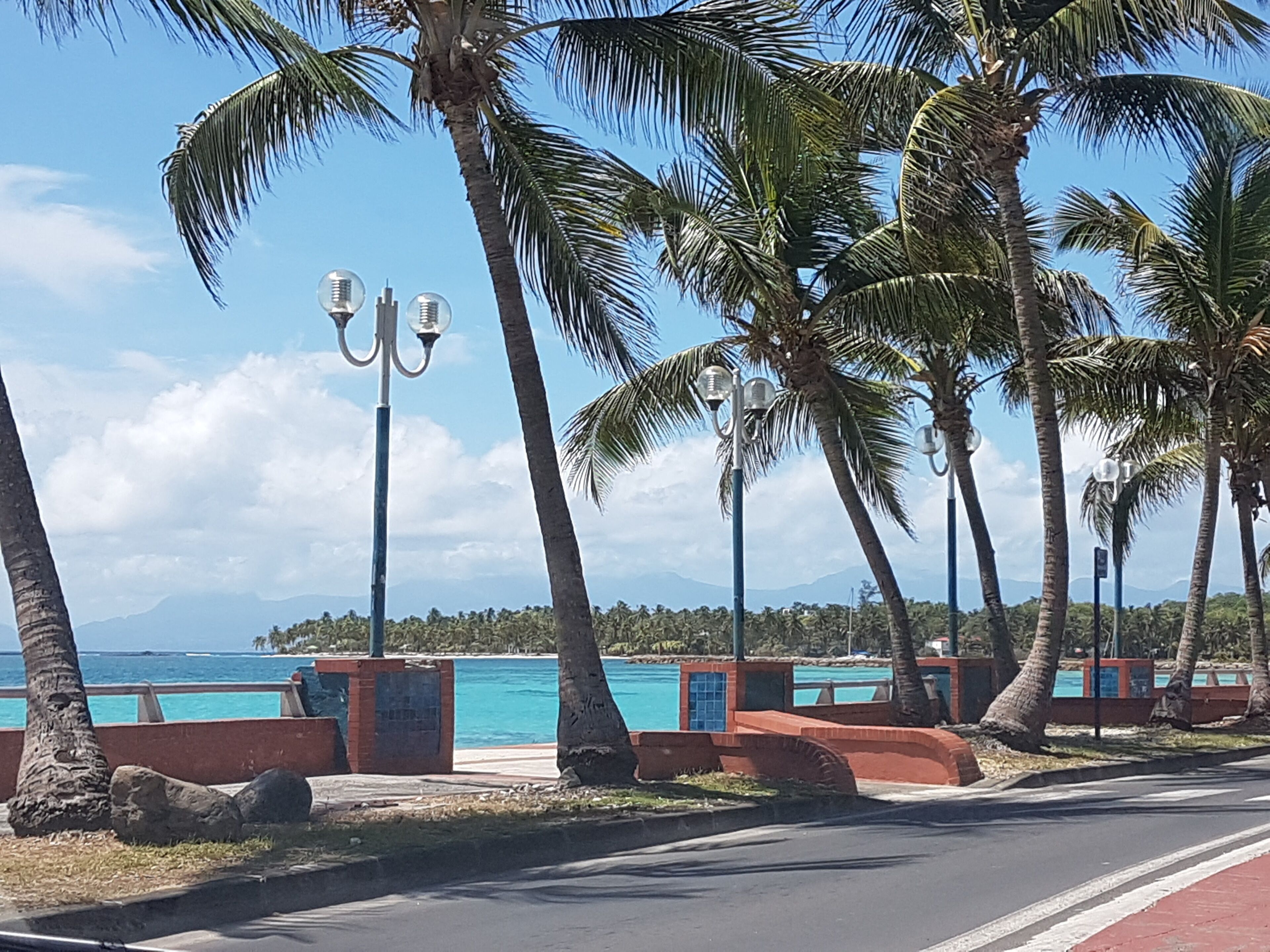 A coastal road lined with palm trees and street lamps, leading to a beach with clear blue water.