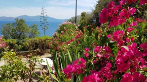 A garden with vibrant pink flowers and a view of the sea and mountains in the background. - Nice studio, spacious, air-conditioned, near village, sea view in small residence. (Cargèse)