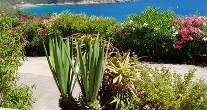 Nice studio, spacious, air-conditioned, near village, sea view in small residence.