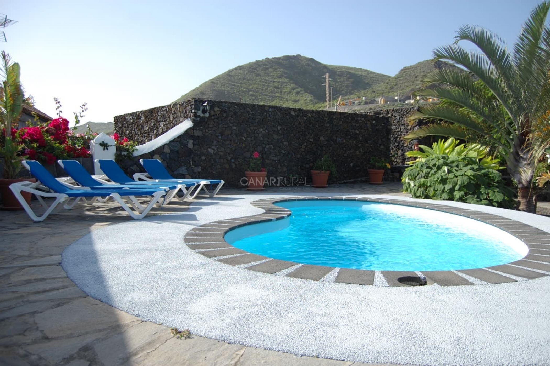 A swimming pool with lounge chairs, surrounded by a stone wall and potted plants.
