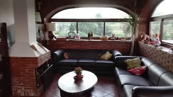 Een televisie, een open haard, een tafeltennistafel en boeken