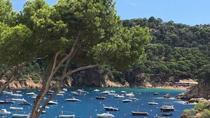 Uma área costeira com muitos barcos ancorados na água, cercada por terreno rochoso e vegetação densa.
