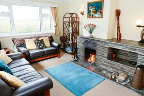 スマートテレビ、暖炉、書庫、ステレオ