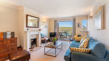 Älytelevisio, takka, DVD-soitin, videokirjasto