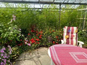 A greenhouse with a variety of flowering plants and a chair with a floral-patterned cushion. - Holiday home Het Vosgen, farmhouse between the bulb fields near the sea (St. Maartensbrug)