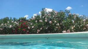 A clear pool with a view of a lush garden and a white poolside. - Wonderful "Trullo Saraceno" (Ostuni)