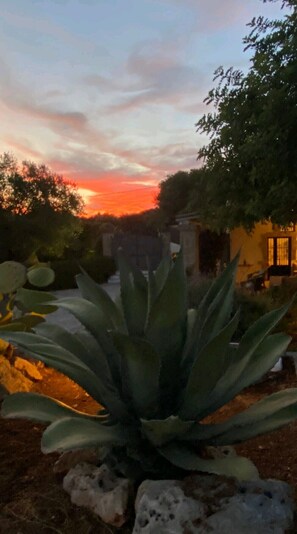 Exterior detail - Wonderful "Trullo Saraceno" (Ostuni)