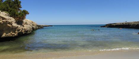 Chaises longues, serviettes de plage